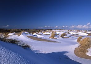 Sylter Winterimpressionen: Dünen, Sand & Schnee Sylter Winterimpressionen: Dünen, Sand & Schnee